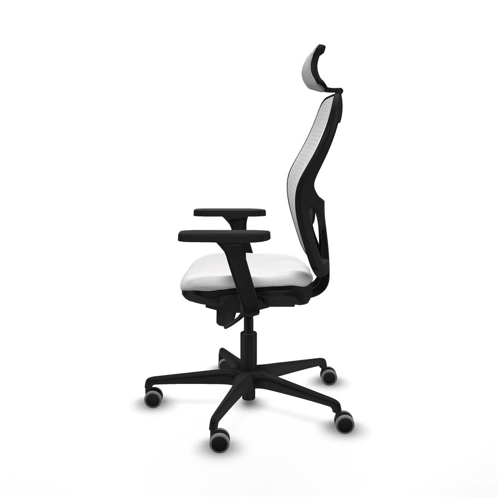 8447454348548_S5714076_P20