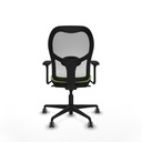 8447454350688_S5714290_P40