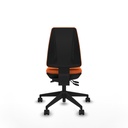 8447454255310_S5740966_P40