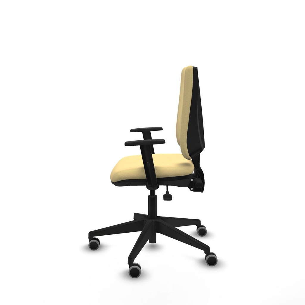 8447454258106_S5741244_P20