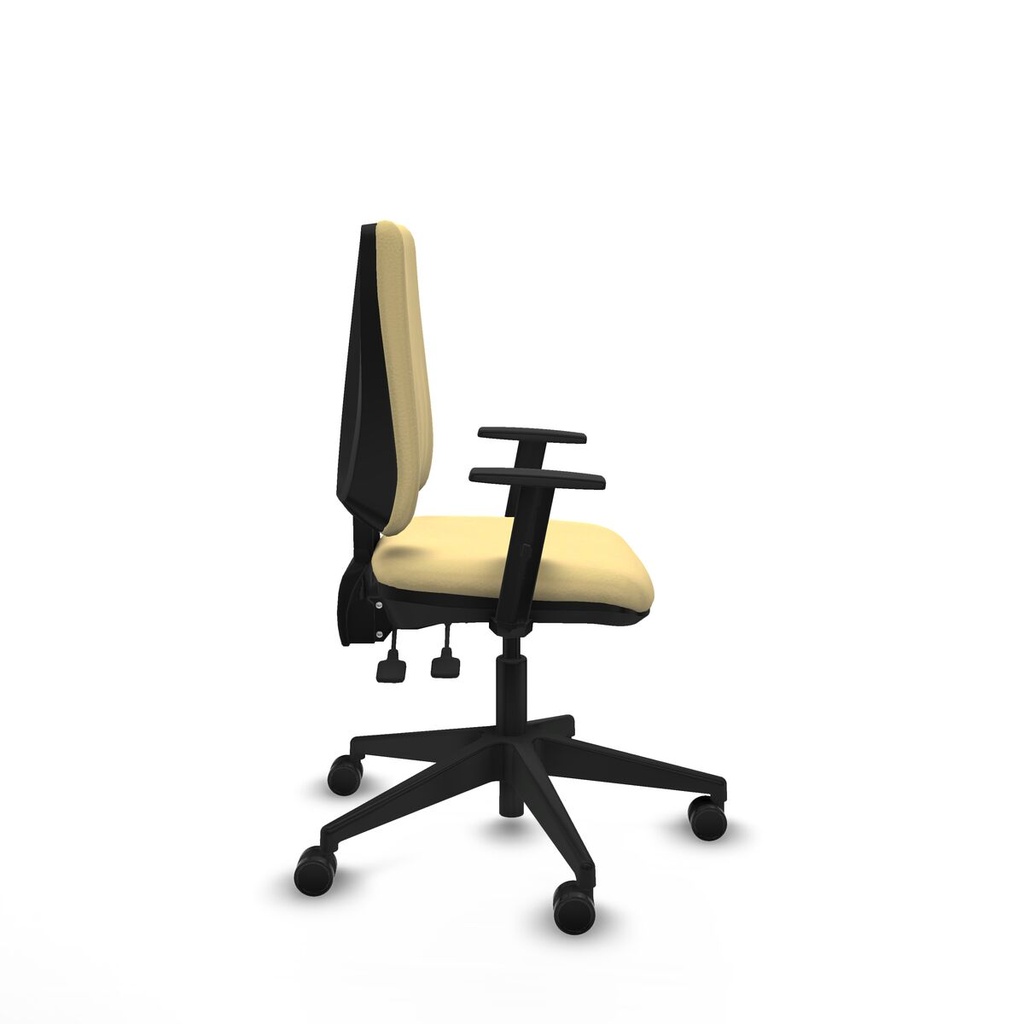 8447454258113_S5741245_P60