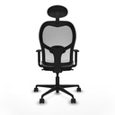 8447454358400_S5714993_P40