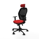 8447454394026_S5717477_P10