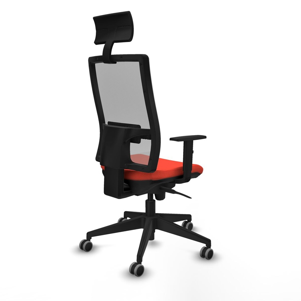 8447454054982_S5734184_P50