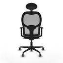 8447454374219_S5716160_P40