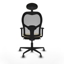 8447454376374_S5716238_P40