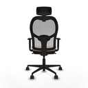 8447454376411_S5716242_P40