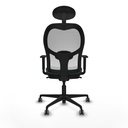 8447454353337_S5714555_P40