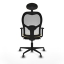 8447454359810_S5715042_P40