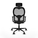 8447454374257_S5716164_P40