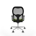 8447454375704_S5716217_P40