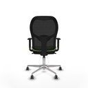 8447454383624_S5716664_P40