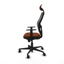 8447454394378_S5717489_P20