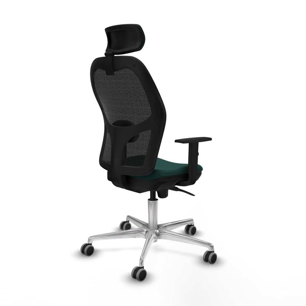 8447454395498_S5717532_P50