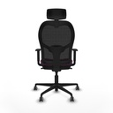 8447454396518_S5717565_P40