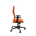 8447454531988_S5717623_P60