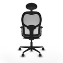 8447454353122_S5714534_P40