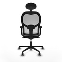 8447454353092_S5714531_P40