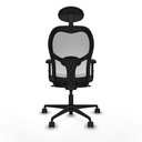 8447454356727_S5714894_P40