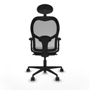 8447454369680_S5715730_P40