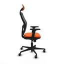 8447454384775_S5716779_P60