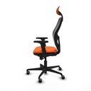 8447454384775_S5716779_P20