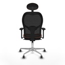 8447454385666_S5716869_P40