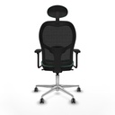 8447454387462_S5717049_P40