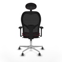 8447454390325_S5717337_P40