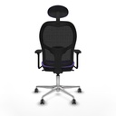 8447454389602_S5717265_P40