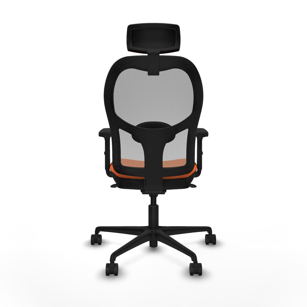 8447454368256_S5715587_P40