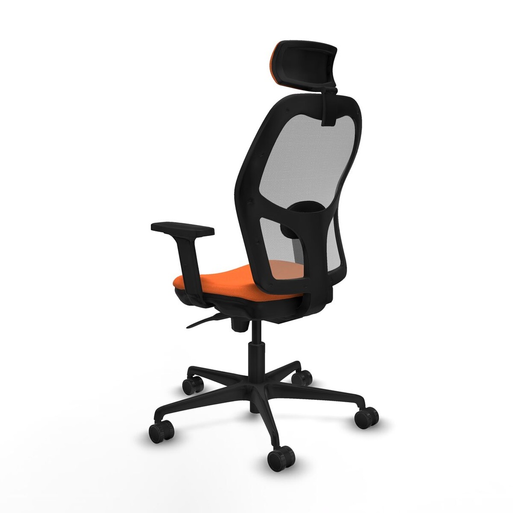 8447454368256_S5715587_P30