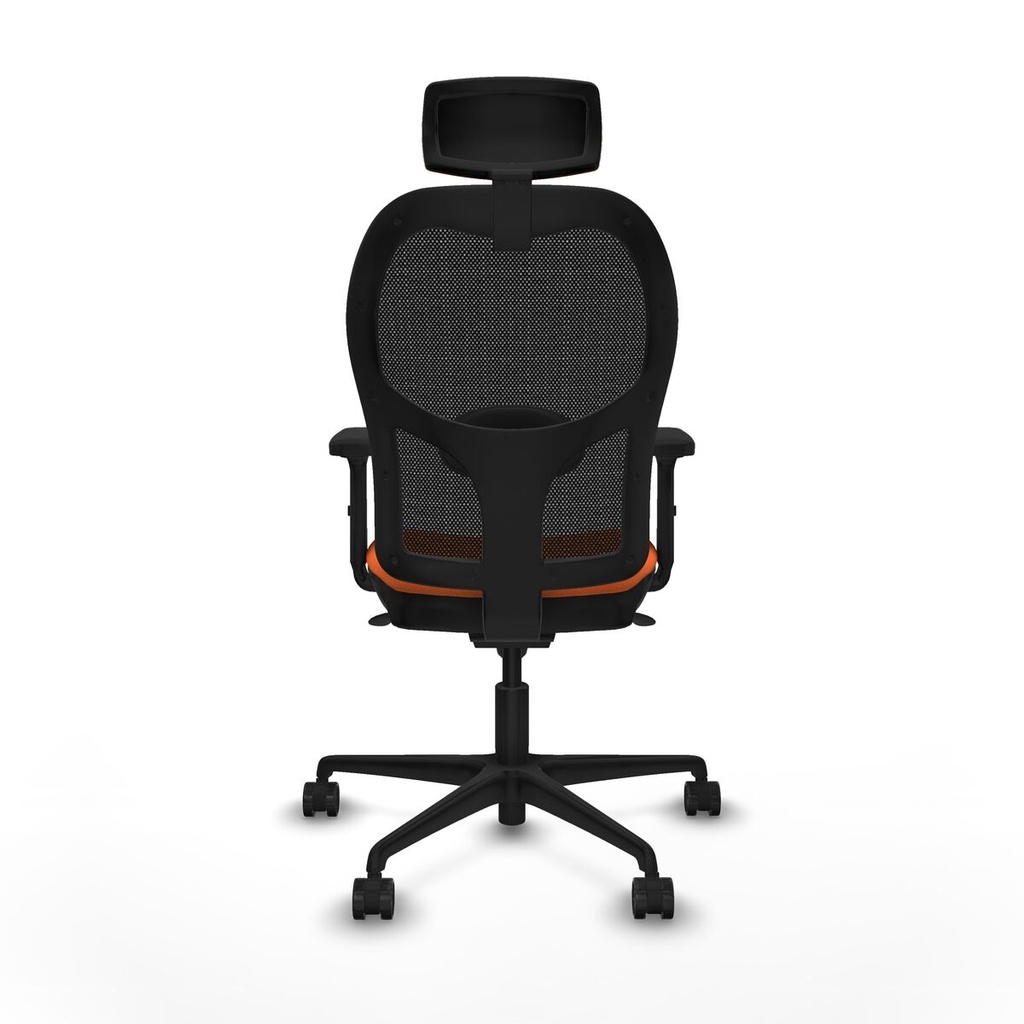 8447454384812_S5716783_P40