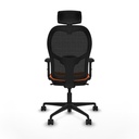 8447454384812_S5716783_P40