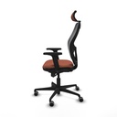 8447454385499_S5716852_P20