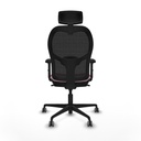 8447454388735_S5717176_P40