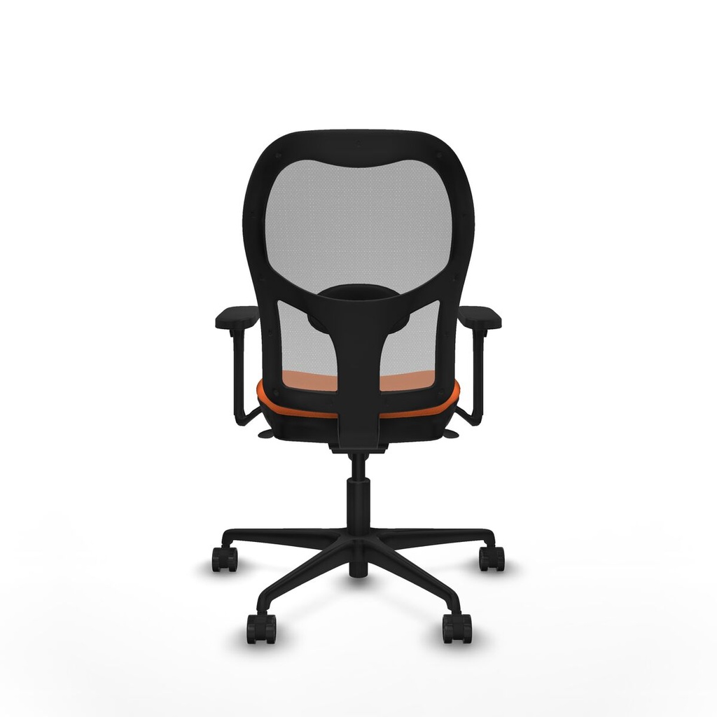 8447454368355_S5715597_P40