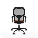 8447454368355_S5715597_P40