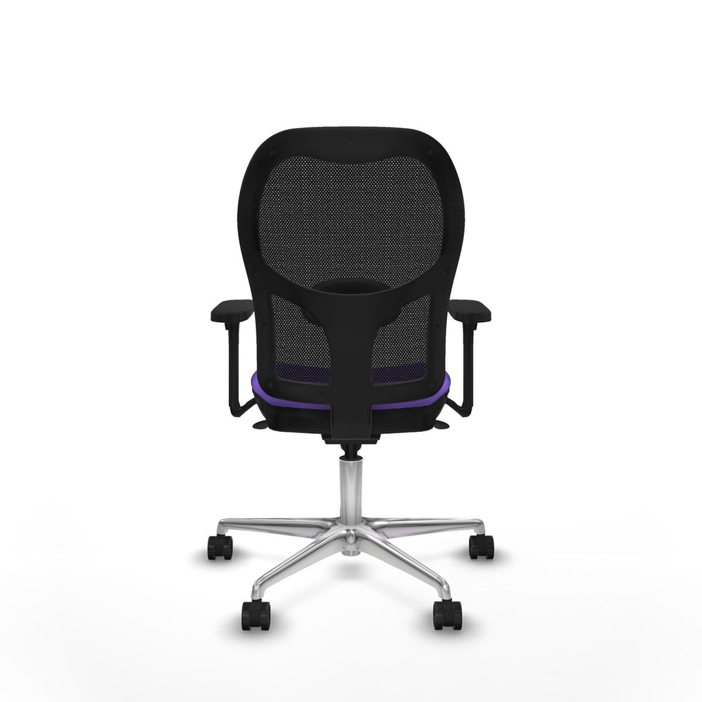 8447454389626_S5717267_P40