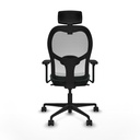 8447454353610_S5714583_P40