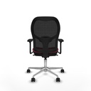 8447454390349_S5717339_P40