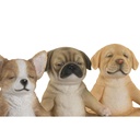 8424002210939_S3061611_P00