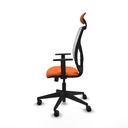 8447454581082_S5717691_P20