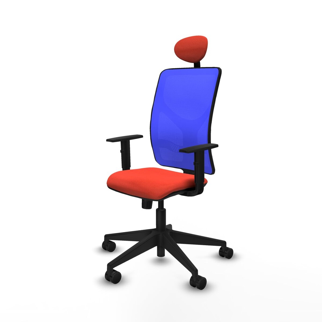 8447454558527_S5717664_P10