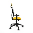 8447454576286_S5717681_P60