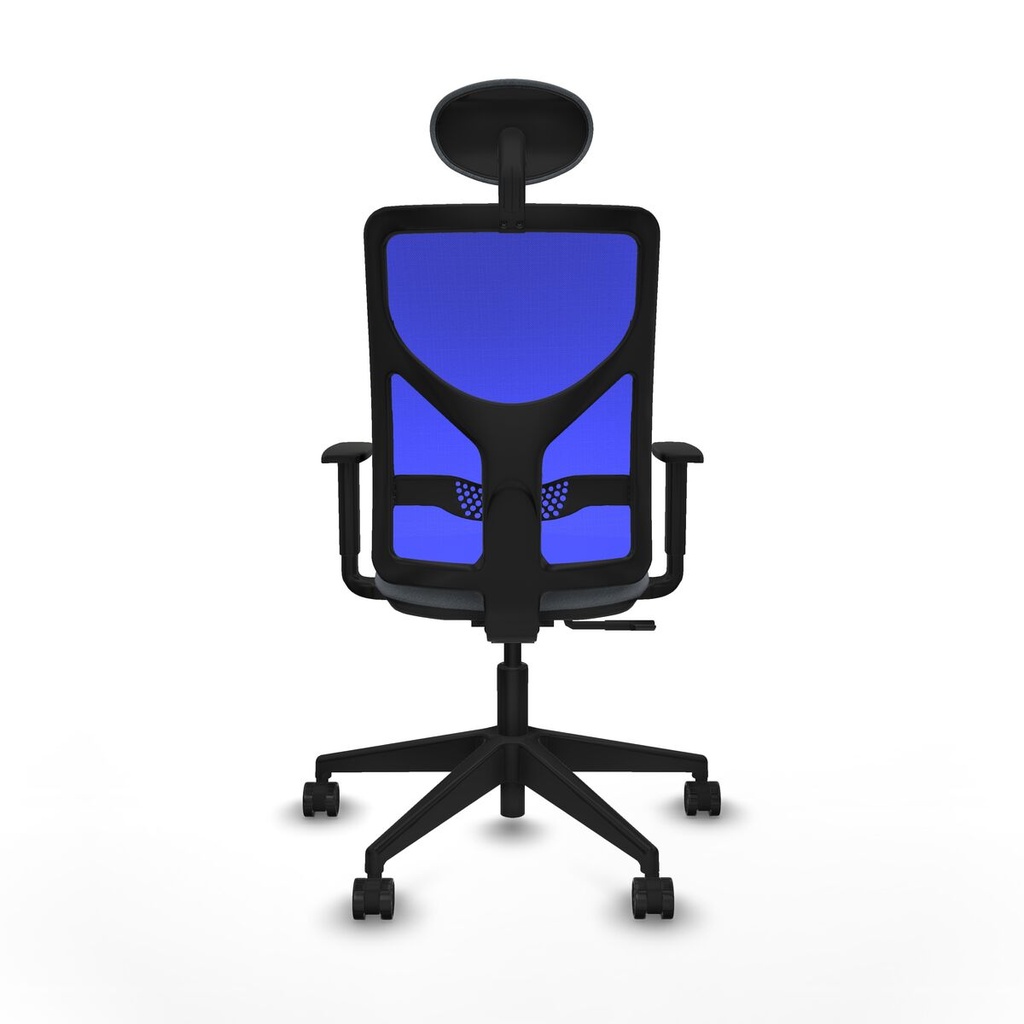 8447454556608_S5717660_P40