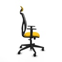 8447454598363_S5717707_P60