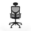 8447454607966_S5717727_P40