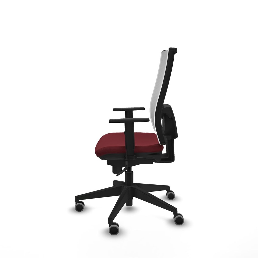 8447454047779_S5742081_P20