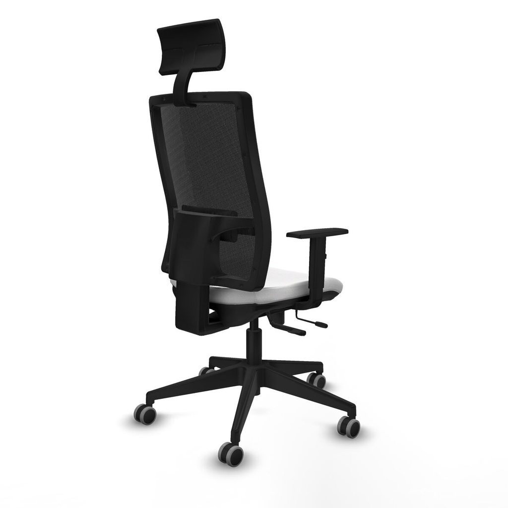 8447454181695_S5742174_P50